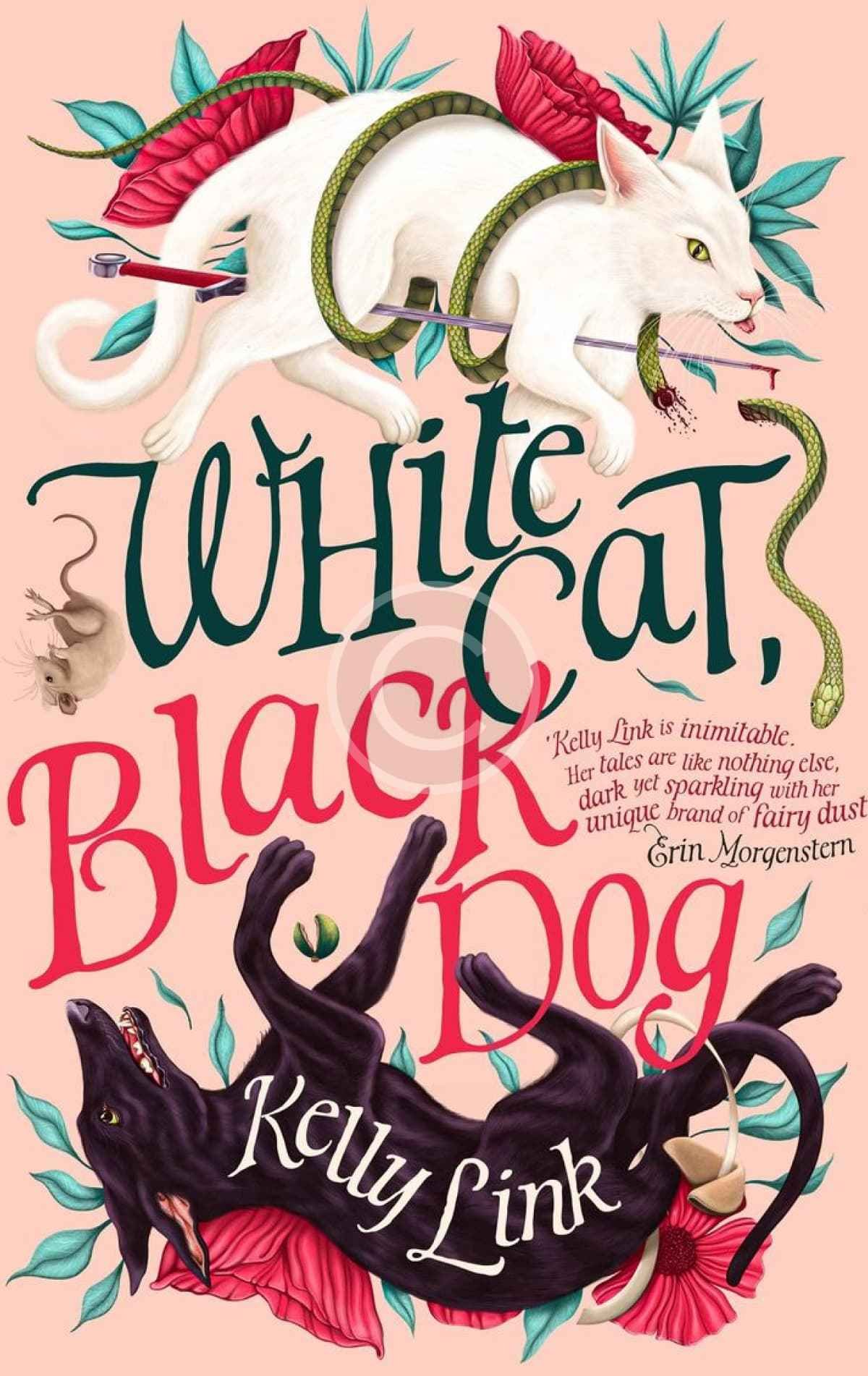 White Cat, Black Dog