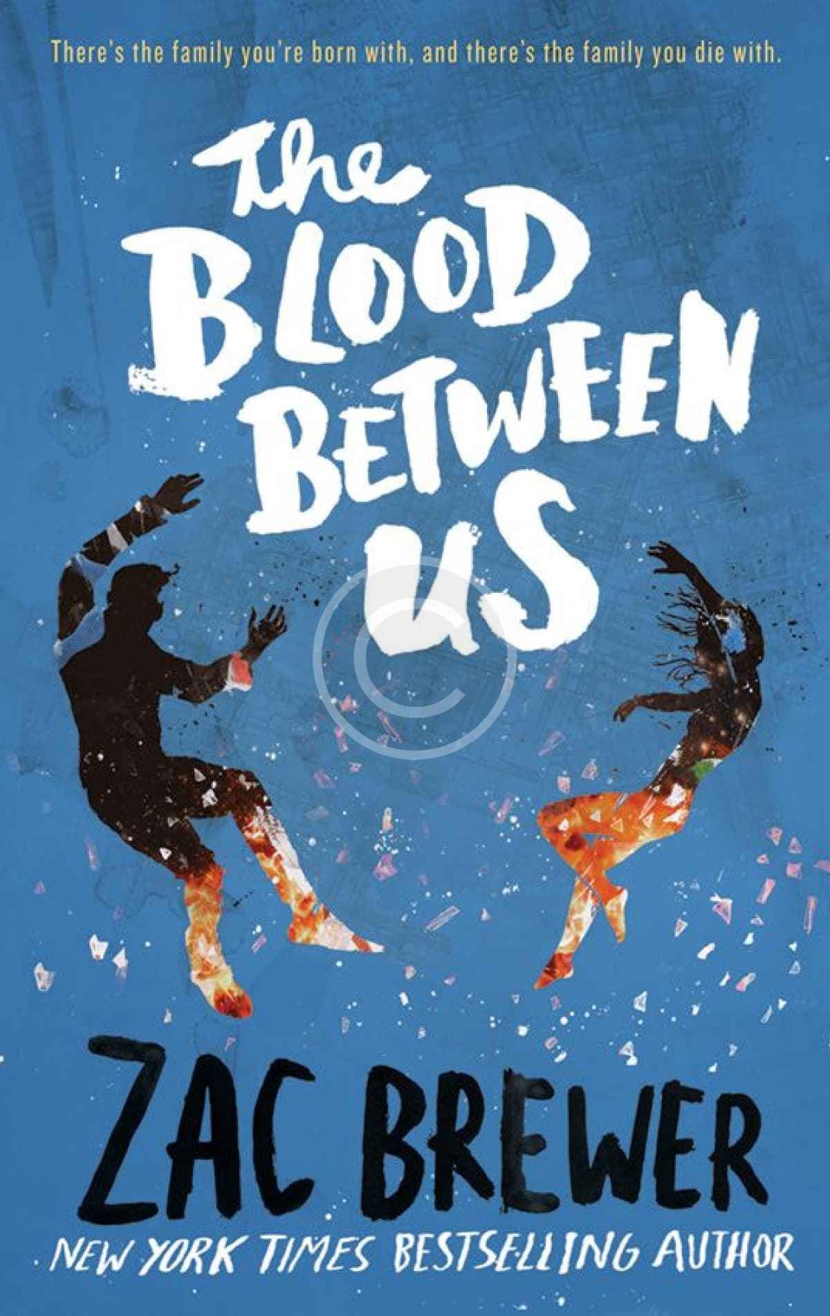 The Blood Between Us
