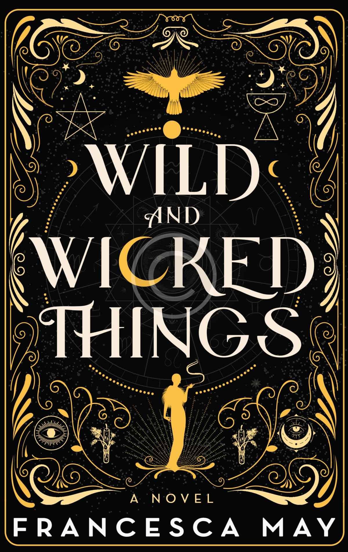 Wild Wicked Things