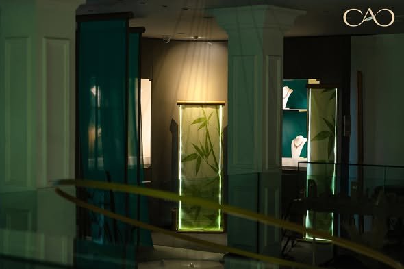 565130782_853504273993477_6252361833123535938_n