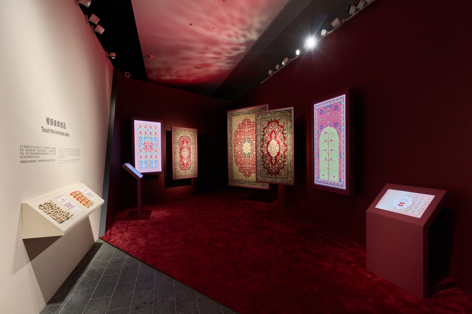 509262482_704236042330549_6998347822816724447_n