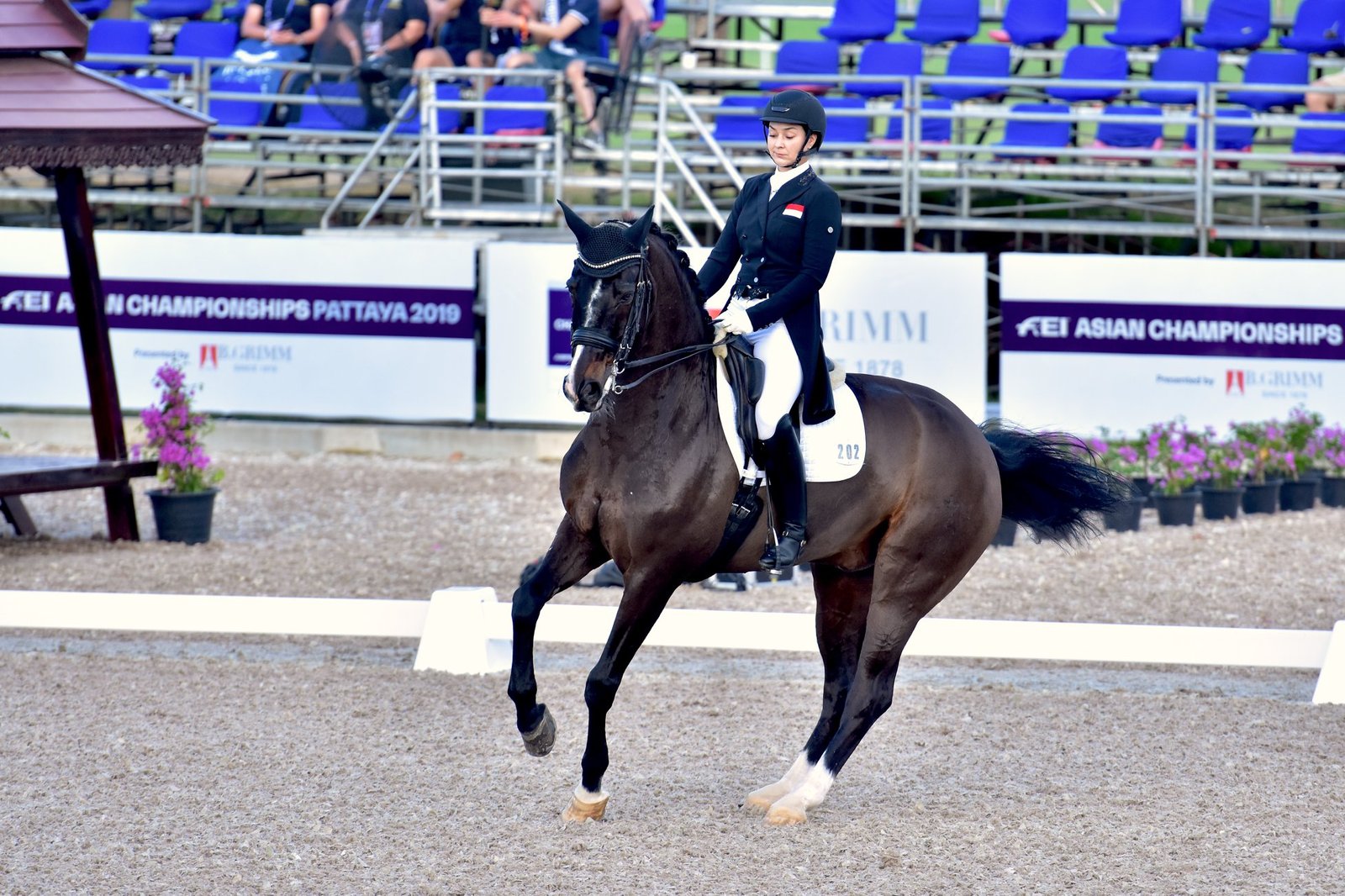 79524231_595701397934243_5657877044562755584_n