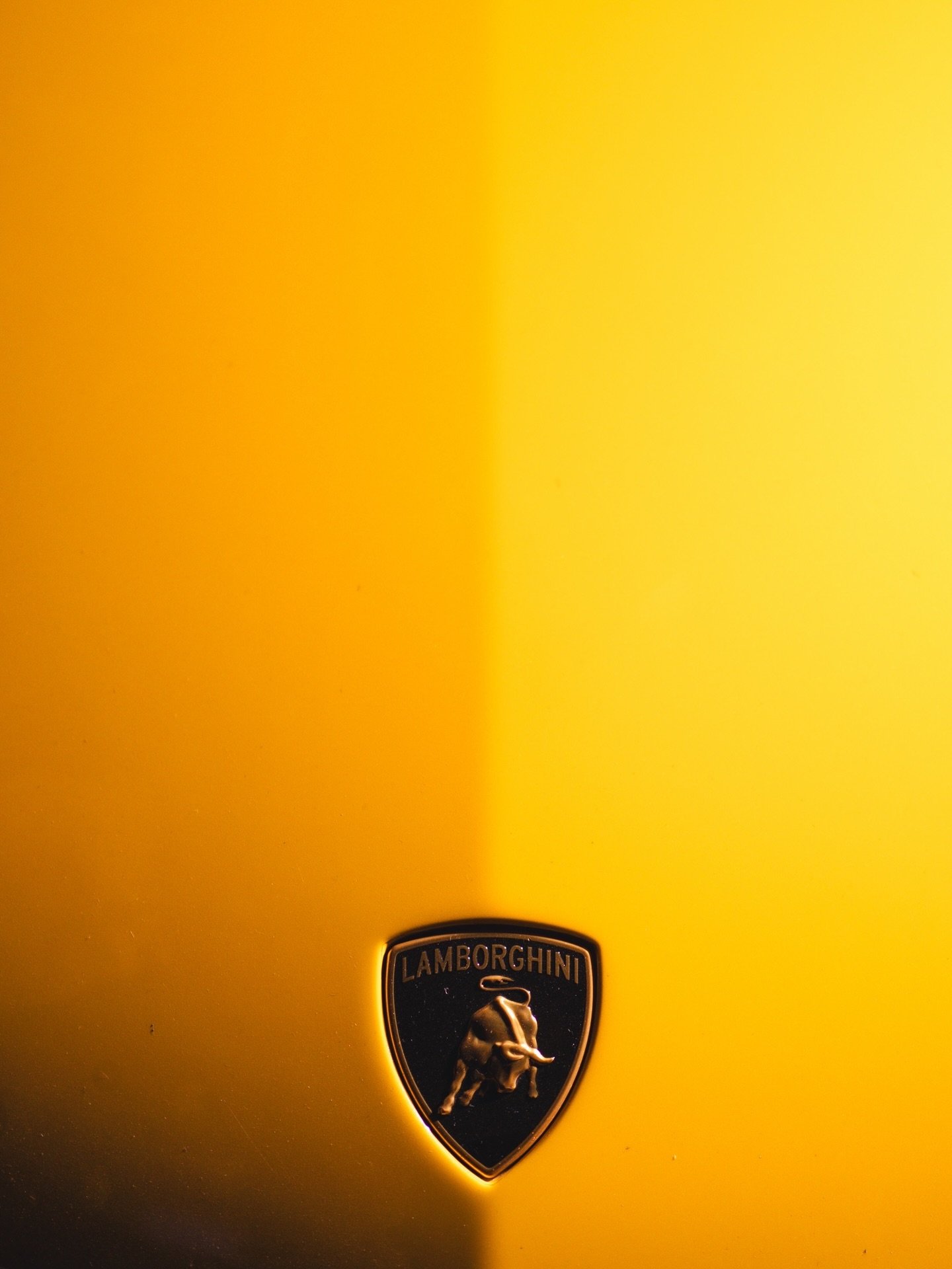 590710788_18547156054017155_3533625698270098470_n