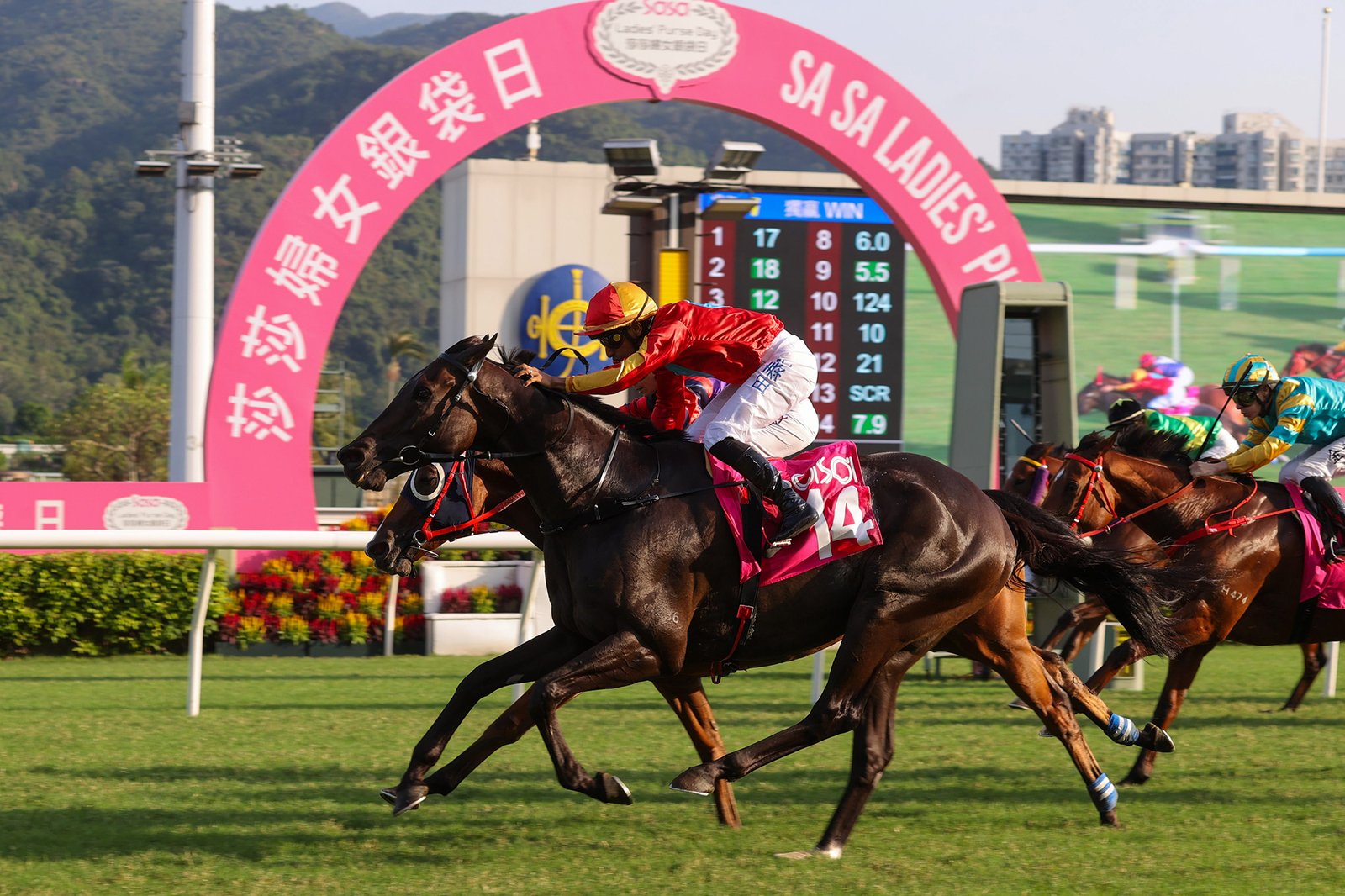 news_2025110901820_01