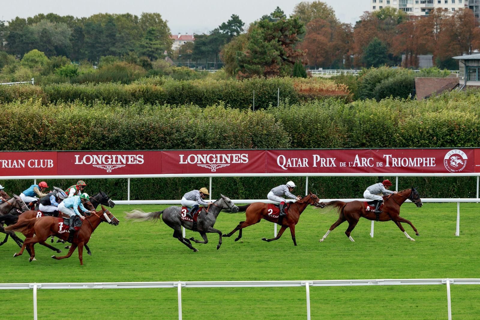 557466760_1228444365983456_603413060298737680_n