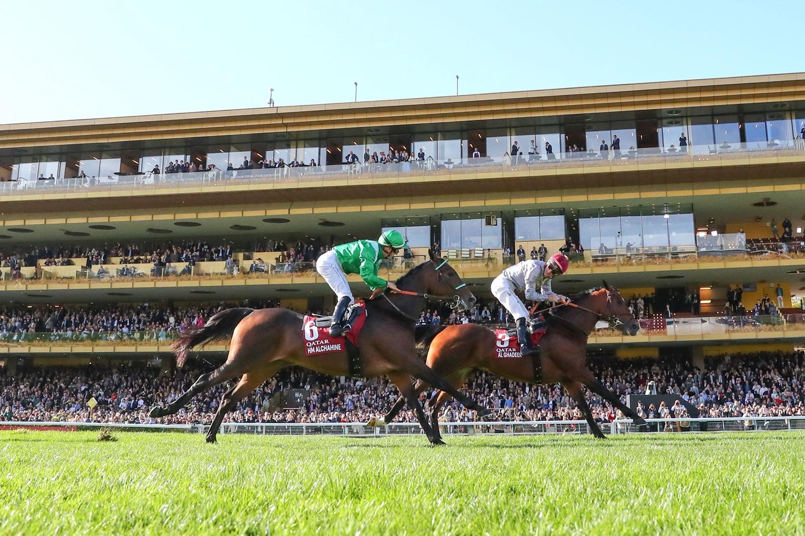 557652264_1230279142466645_2226370162059595019_n