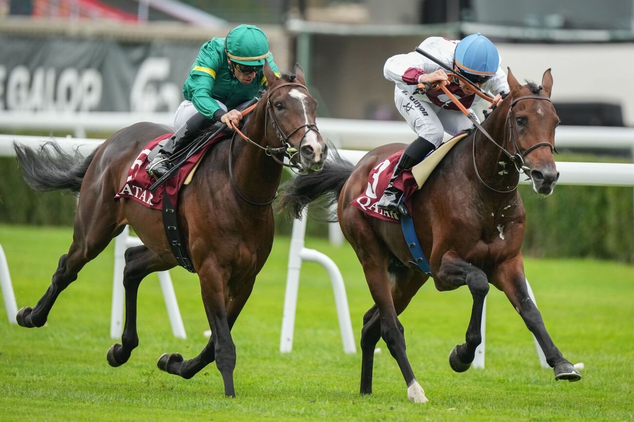 558947989_1228444349316791_4661753701191721453_n